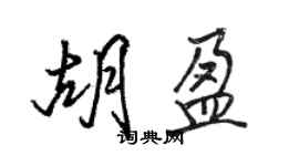 骆恒光胡盈行书个性签名怎么写