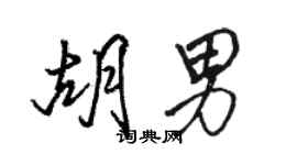 骆恒光胡男行书个性签名怎么写