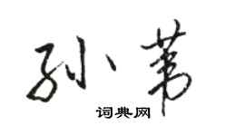 骆恒光孙苇行书个性签名怎么写