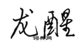 骆恒光龙醒行书个性签名怎么写