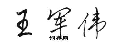 骆恒光王军伟行书个性签名怎么写