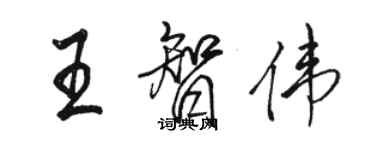 骆恒光王智伟行书个性签名怎么写