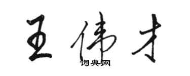 骆恒光王伟才行书个性签名怎么写