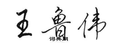 骆恒光王鲁伟行书个性签名怎么写