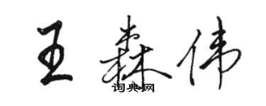 骆恒光王森伟行书个性签名怎么写