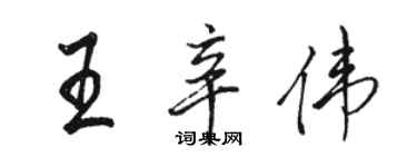 骆恒光王辛伟行书个性签名怎么写