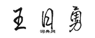骆恒光王日勇行书个性签名怎么写