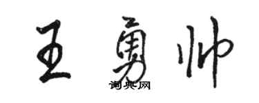 骆恒光王勇帅行书个性签名怎么写