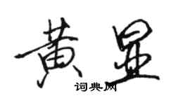 骆恒光黄显行书个性签名怎么写