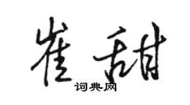 骆恒光崔甜行书个性签名怎么写