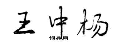 曾庆福王中杨行书个性签名怎么写