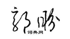 梁锦英郭盼草书个性签名怎么写