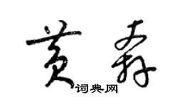 梁锦英黄奔草书个性签名怎么写
