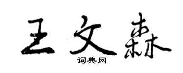 曾庆福王文森行书个性签名怎么写