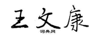 曾庆福王文康行书个性签名怎么写