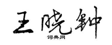 曾庆福王晓钟行书个性签名怎么写