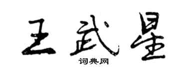 曾庆福王武星行书个性签名怎么写