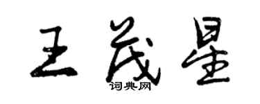 曾庆福王茂星行书个性签名怎么写