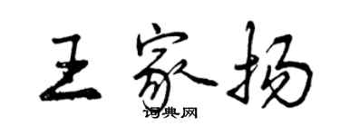 曾庆福王家扬行书个性签名怎么写