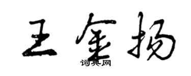 曾庆福王金扬行书个性签名怎么写