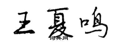 曾庆福王夏鸣行书个性签名怎么写