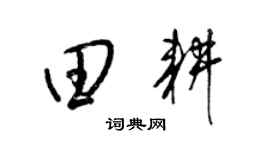 梁锦英田耕草书个性签名怎么写