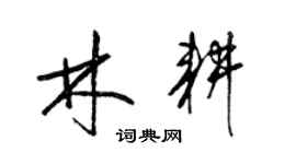 梁锦英林耕草书个性签名怎么写
