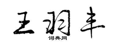 曾庆福王羽丰行书个性签名怎么写