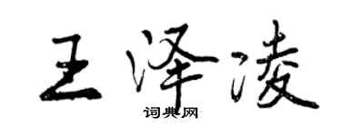 曾庆福王泽凌行书个性签名怎么写