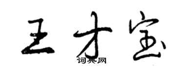 曾庆福王才宝行书个性签名怎么写