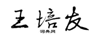 曾庆福王培友行书个性签名怎么写