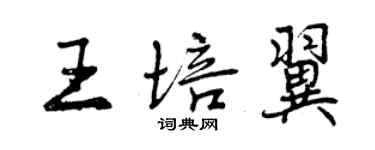 曾庆福王培翼行书个性签名怎么写