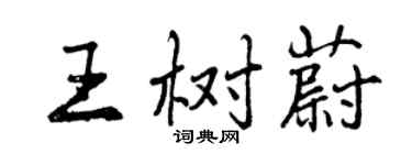 曾庆福王树蔚行书个性签名怎么写