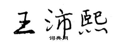 曾庆福王沛熙行书个性签名怎么写