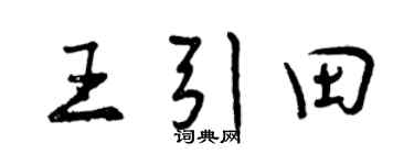 曾庆福王引田行书个性签名怎么写