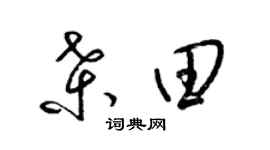 梁锦英桑田草书个性签名怎么写