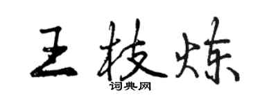 曾庆福王枝炼行书个性签名怎么写