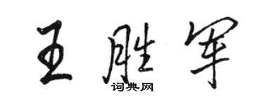 骆恒光王胜军行书个性签名怎么写