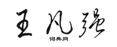 骆恒光王凡强行书个性签名怎么写