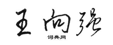 骆恒光王向强行书个性签名怎么写