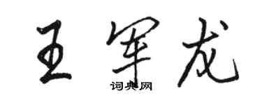 骆恒光王军龙行书个性签名怎么写