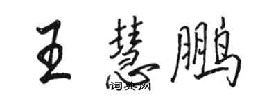 骆恒光王慧鹏行书个性签名怎么写
