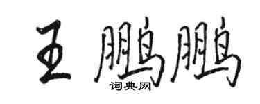 骆恒光王鹏鹏行书个性签名怎么写