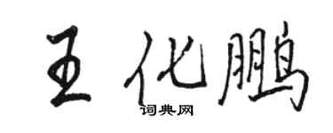 骆恒光王化鹏行书个性签名怎么写