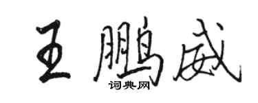 骆恒光王鹏威行书个性签名怎么写