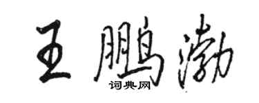 骆恒光王鹏渤行书个性签名怎么写