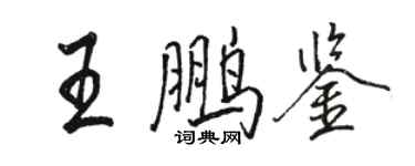 骆恒光王鹏鉴行书个性签名怎么写