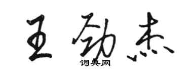 骆恒光王劲杰行书个性签名怎么写