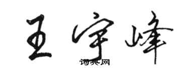 骆恒光王宇峰行书个性签名怎么写
