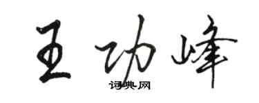 骆恒光王功峰行书个性签名怎么写